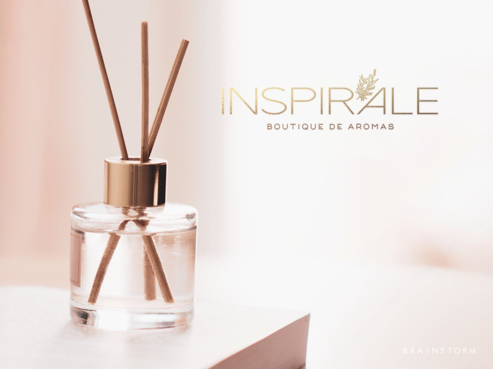 Site Brainstorm - Slide 04 Inspirale - 1