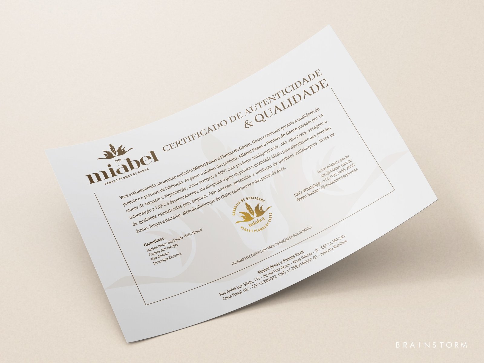 Site Brainstorm - Slide 05 Miabel - 13