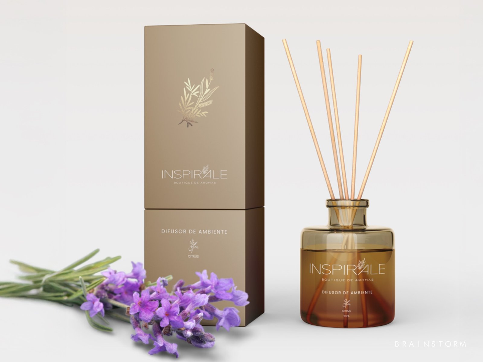 Site Brainstorm - Slide 04 Inspirale - 2