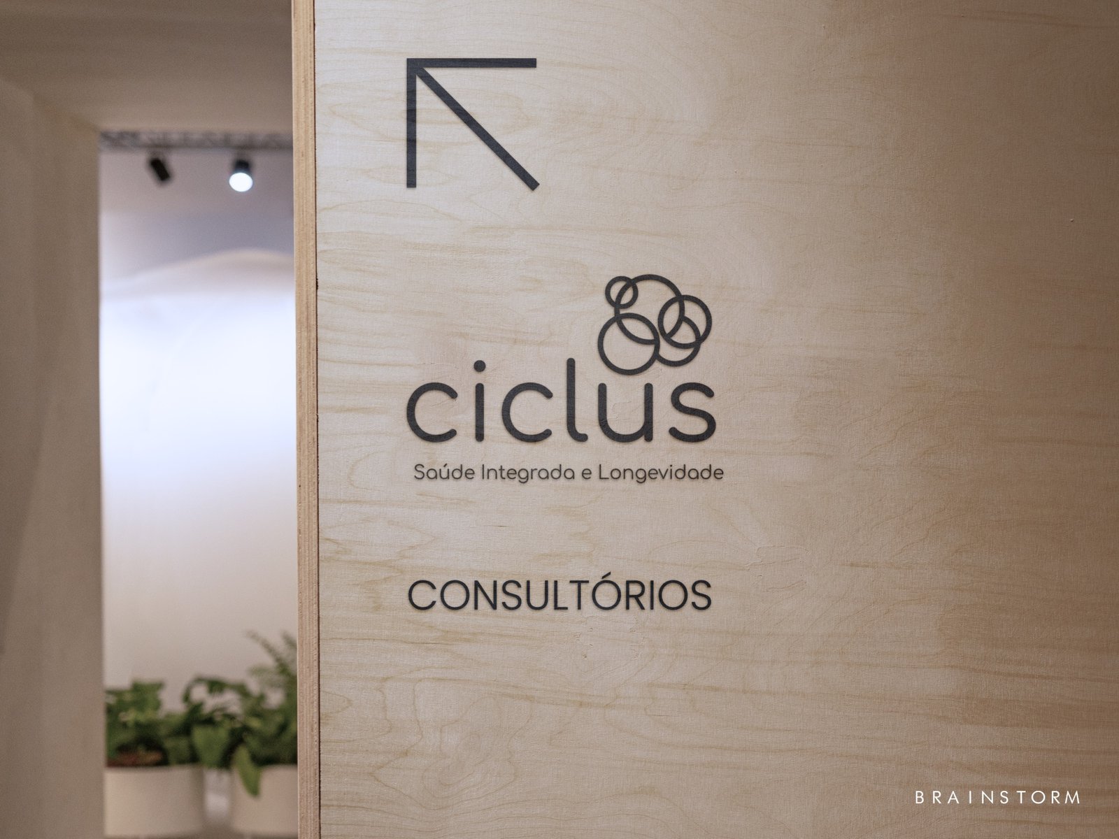 Site Brainstorm - Slide 07 Ciclus - 4